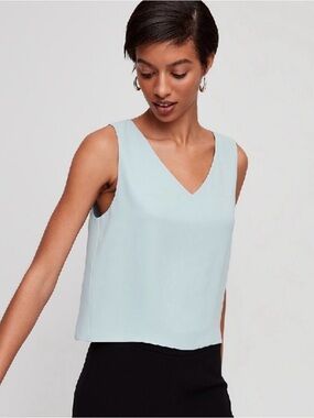 Aritzia Babaton Murphy Blouse